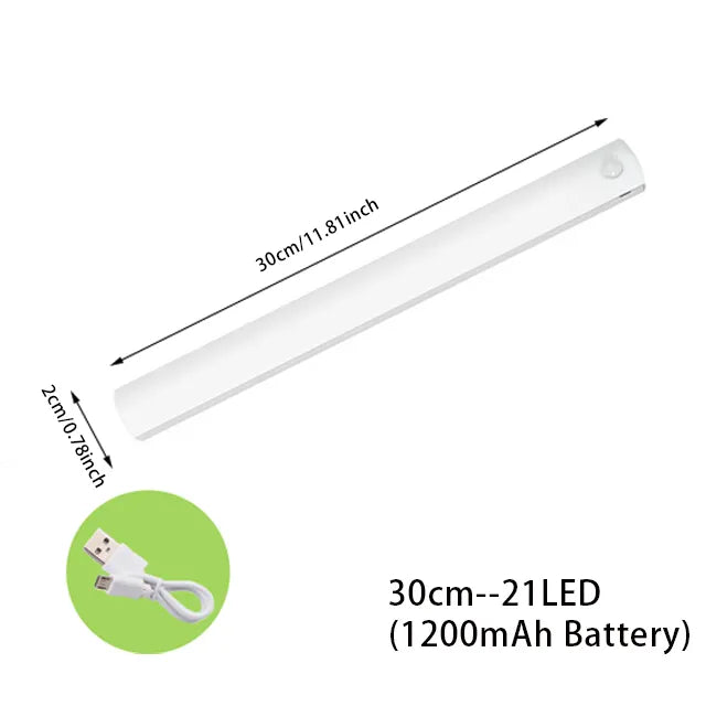 Variants of the light are shown with different lengths and battery capacities: 30cm with 21 LEDs, indicating options for size and power.
