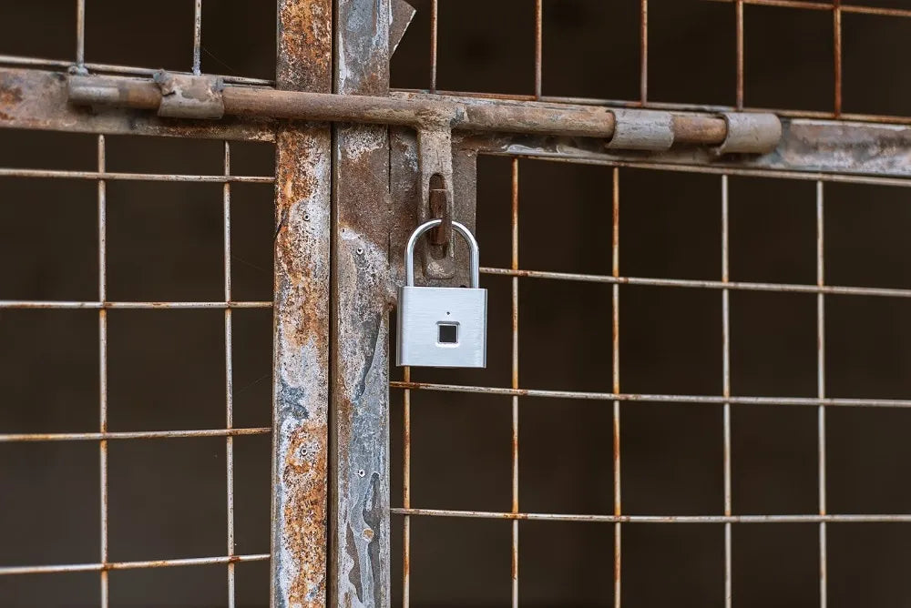 The padlock secured to a metal fence, demonstrating its practical use in an outdoor setting.